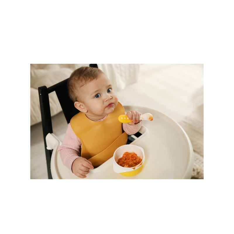 Exploring Mealtime Routines in a Baby’s Early Development